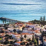 O Dragoeiro Da Madalena! * Porto Santo