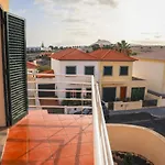 O Dragoeiro Da Madalena!