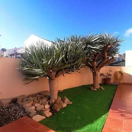 O Dragoeiro Da Madalena! Porto Santo