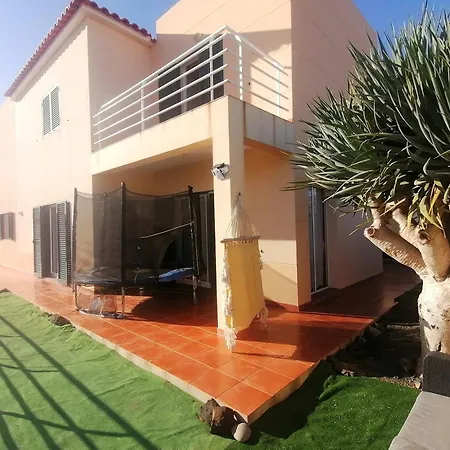 O Dragoeiro Da Madalena! *