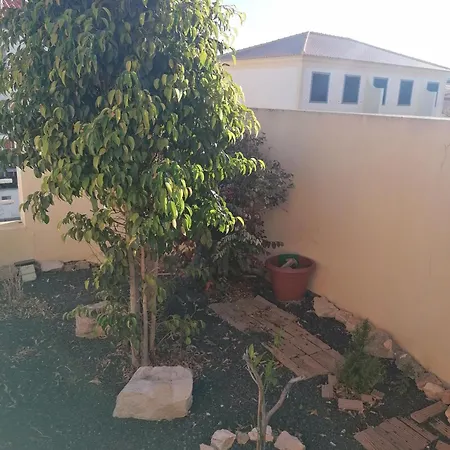 O Dragoeiro Da Madalena! * פורטו סנטו