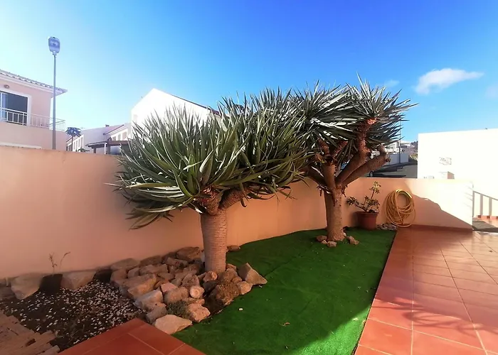 O Dragoeiro Da Madalena! פורטו סנטו