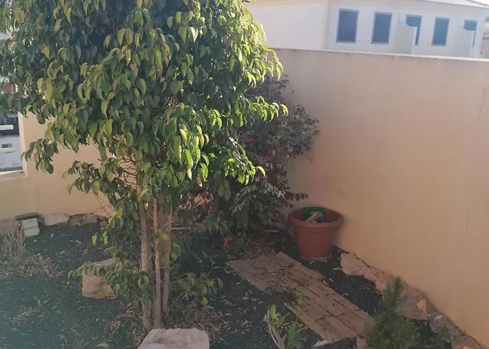 O Dragoeiro Da Madalena! * פורטו סנטו