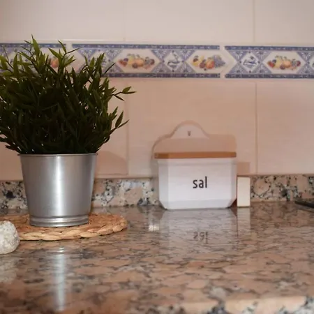 O Dragoeiro Da Madalena! 포르투산투