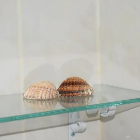 O Dragoeiro Da Madalena! *