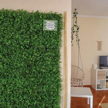 펜션 O Dragoeiro Da Madalena!