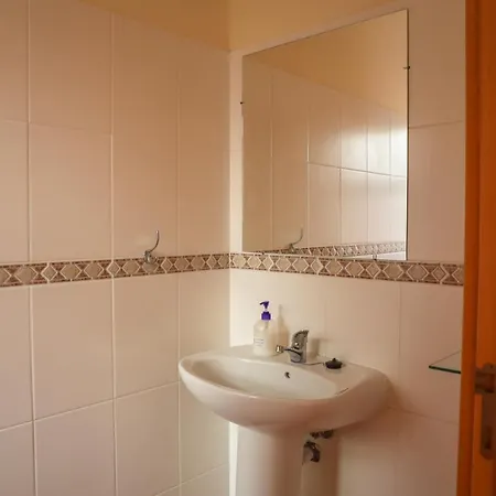 O Dragoeiro Da Madalena! 포르투산투