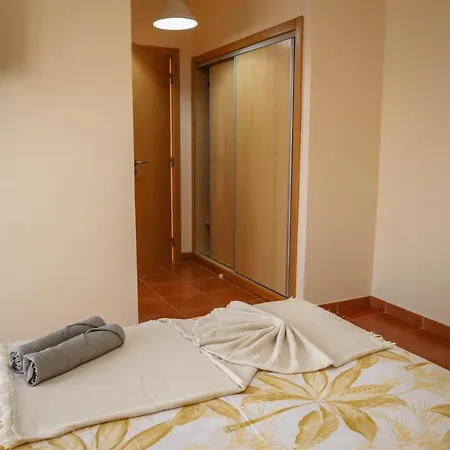 O Dragoeiro Da Madalena!