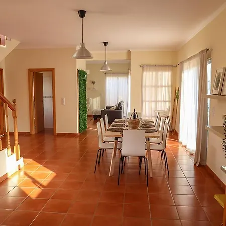 O Dragoeiro Da Madalena! *