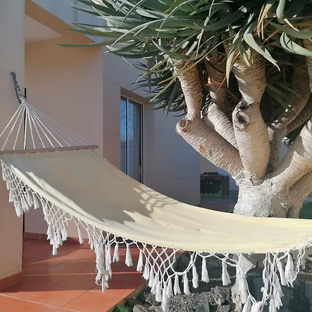 Ferienhaus O Dragoeiro Da Madalena! Porto Santo