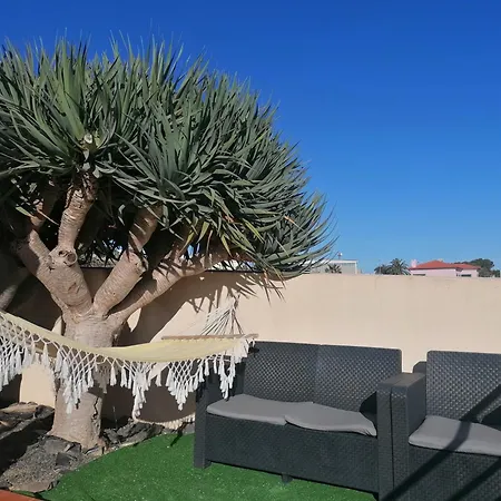 O Dragoeiro Da Madalena! 펜션 *