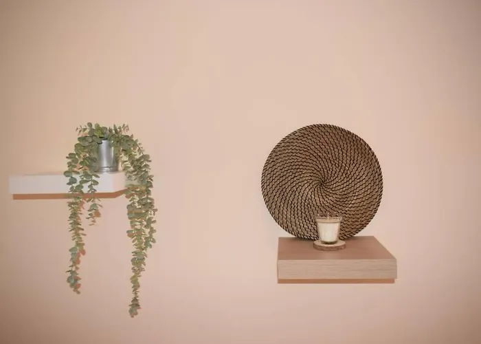 O Dragoeiro Da Madalena! *