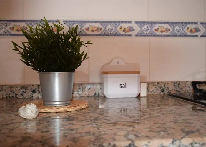 O Dragoeiro Da Madalena! Porto Santo