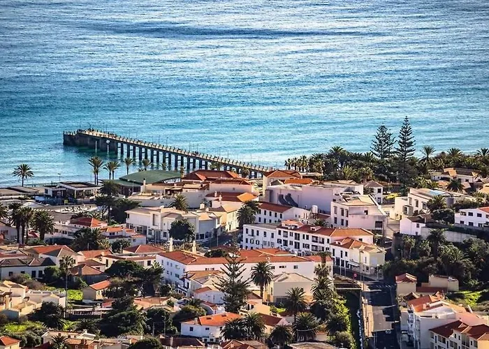 O Dragoeiro Da Madalena! * Porto Santo