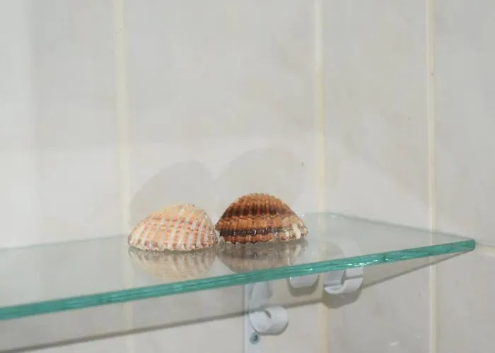 O Dragoeiro Da Madalena! *