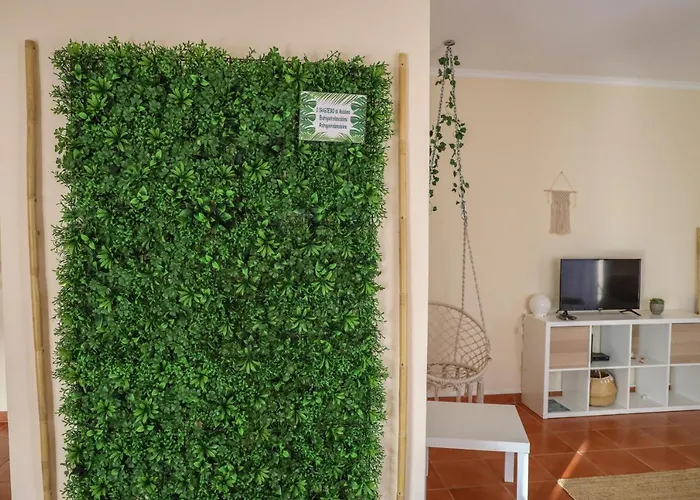 Hébergement de vacances O Dragoeiro Da Madalena!