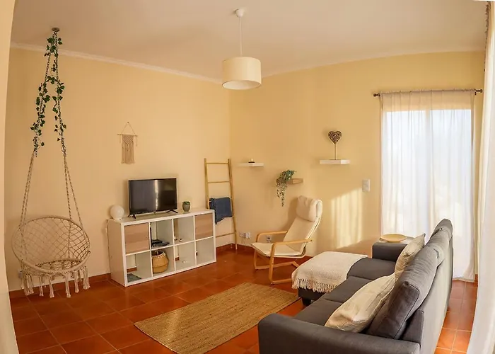 O Dragoeiro Da Madalena!