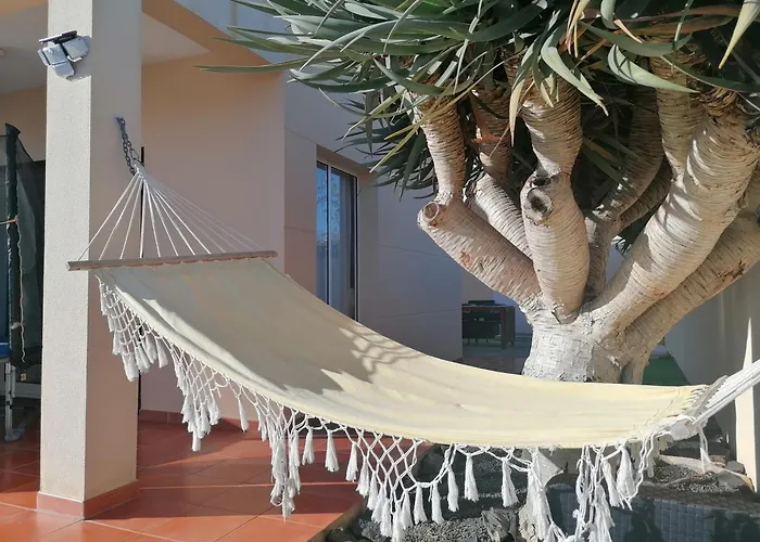 Hébergement de vacances O Dragoeiro Da Madalena! Porto Santo