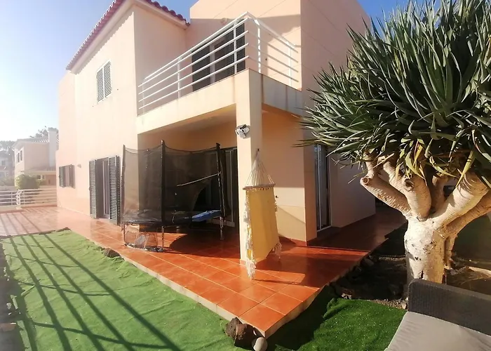 O Dragoeiro Da Madalena! *