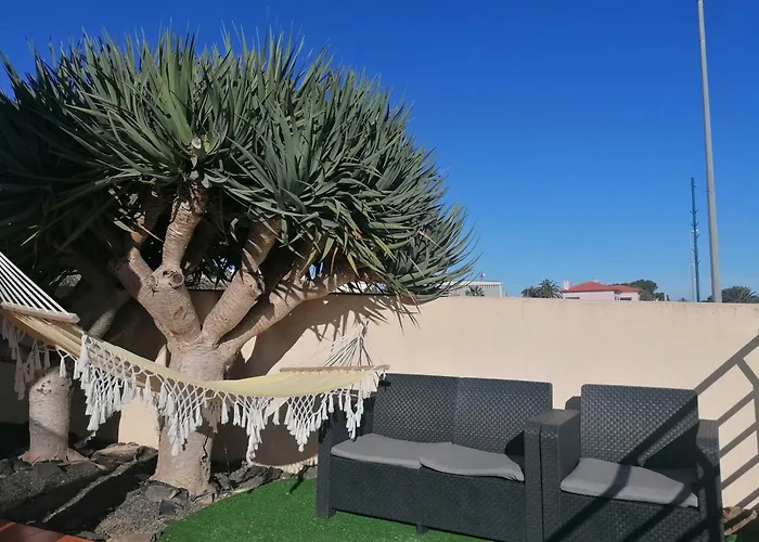 O Dragoeiro Da Madalena! Prázdninový dům *